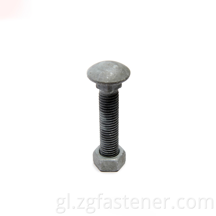 Carriage Bolt